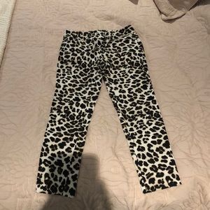 NY& Co Cheetah Pants size 4